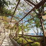 Pandora 4* Майори